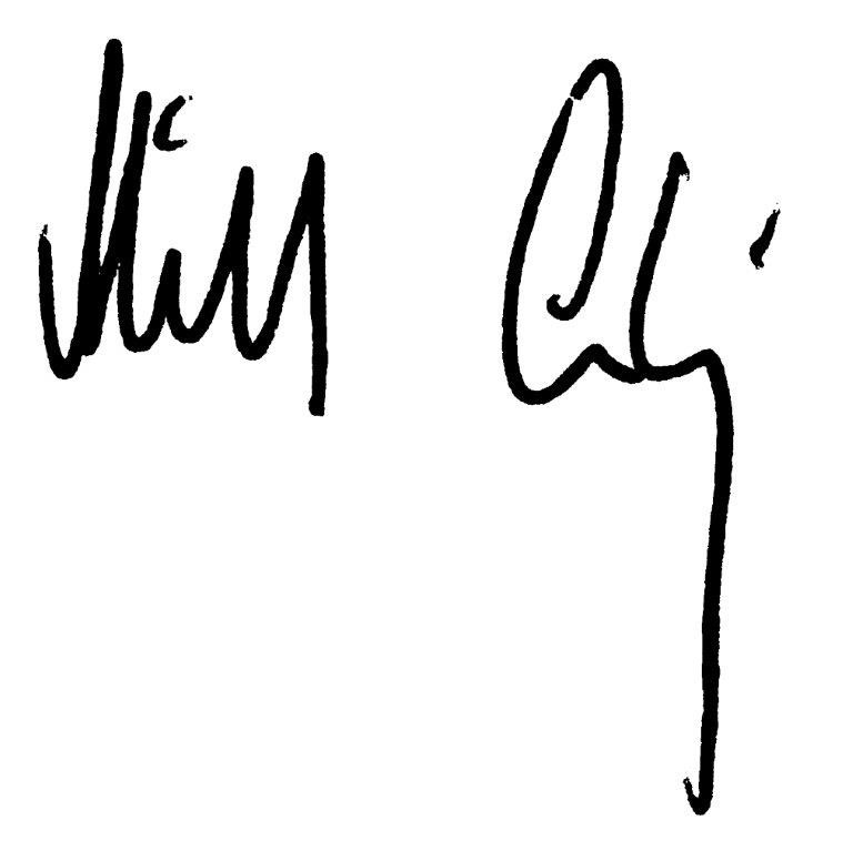 Michael Ludwig Unterschrift 003